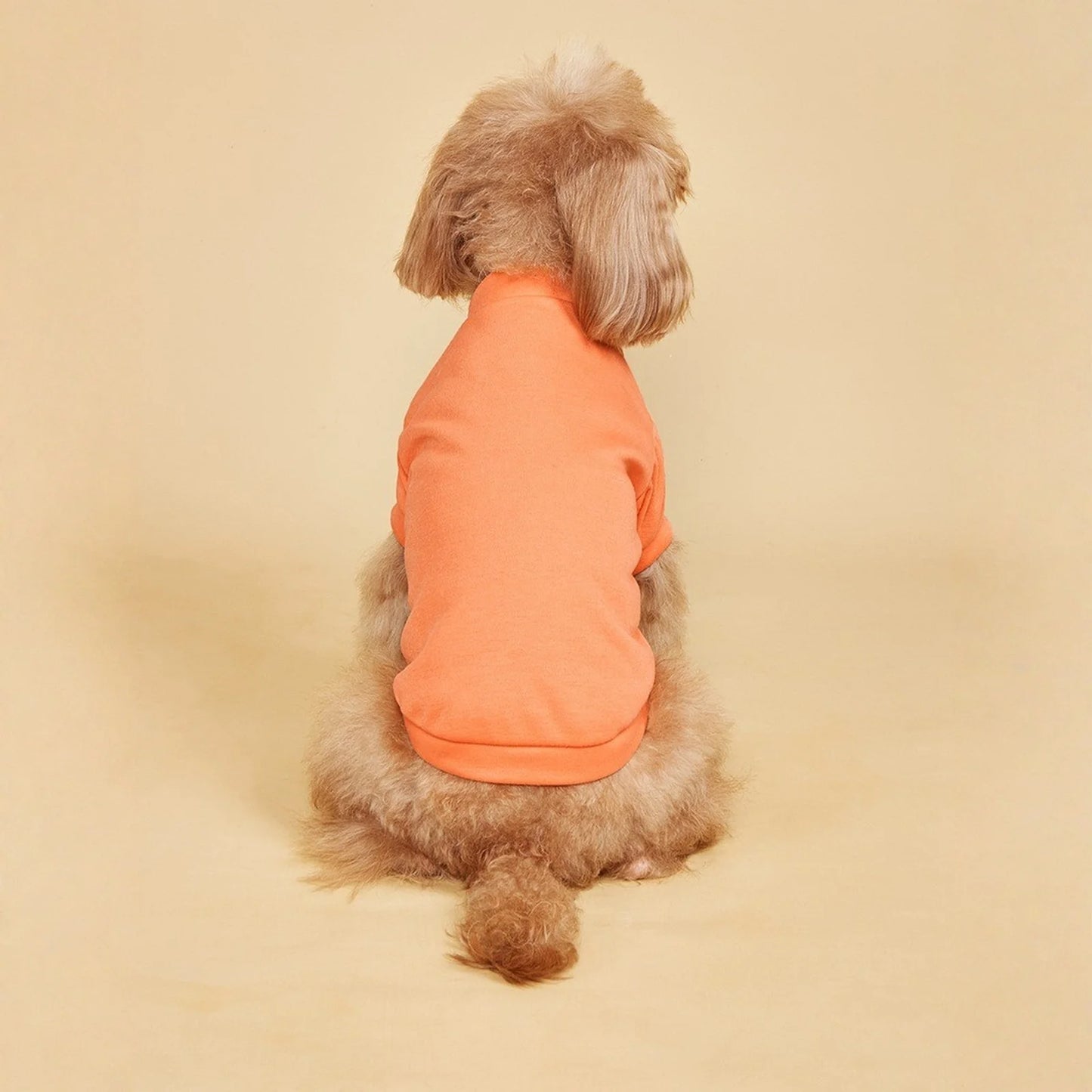Solid Summer Dog Tee