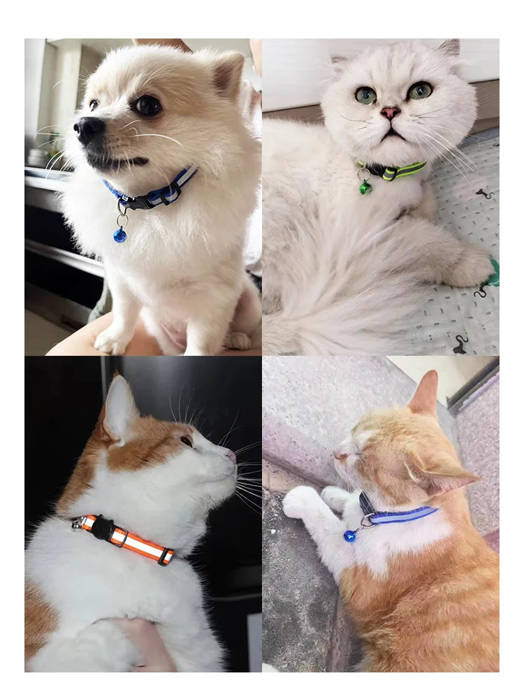 Reflective Breakaway Cat Collar