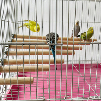 Natural Wood Bird Perch Stick