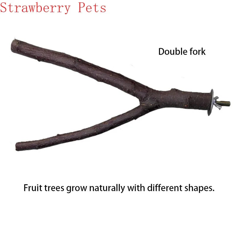 Natural Wood Branch Bird Perch
