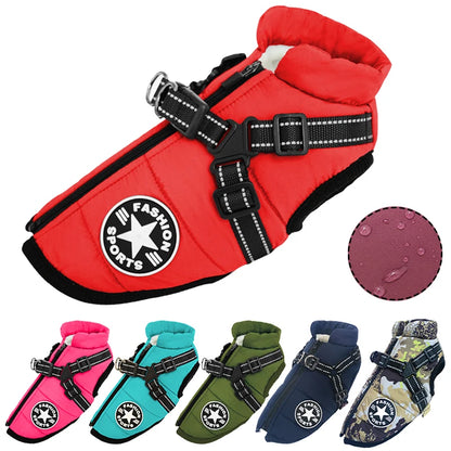 Winter Dog Jacket with Built-In Harness