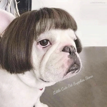 Funny Dog Cosplay Wig