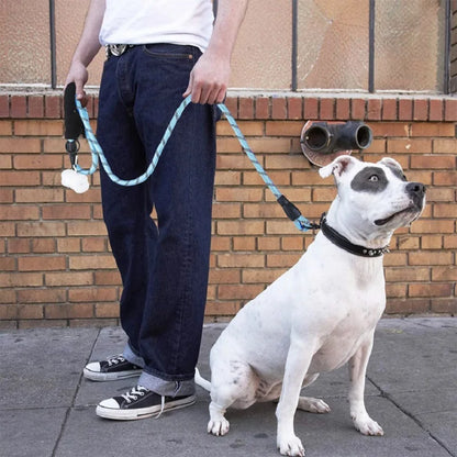 Heavy-Duty Dog Leash