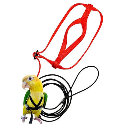 Parrot Flight Harness & Leash