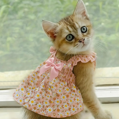 Floral Summer Pet Dress