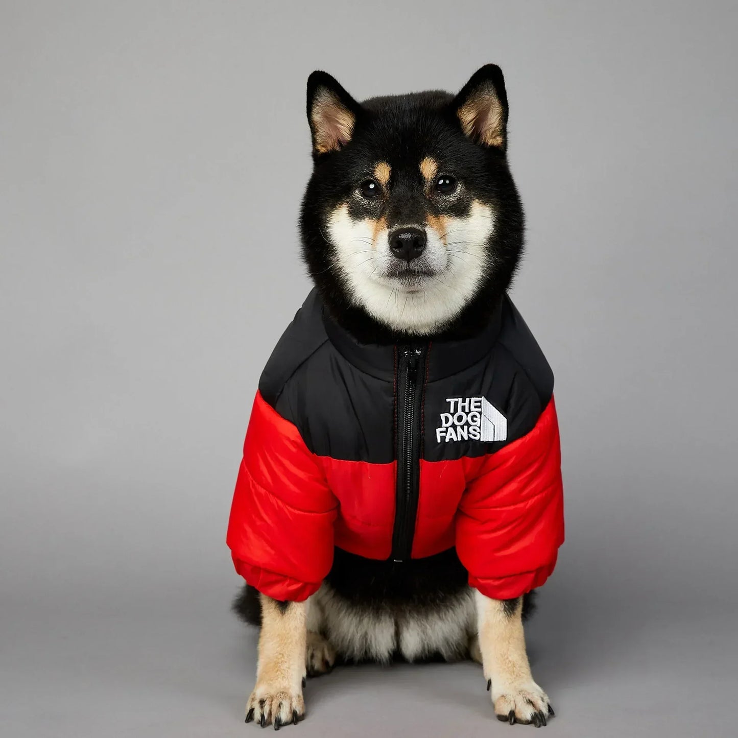 Puppy Down Jacket