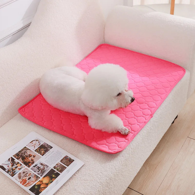 Reusable Washable Pee Pad