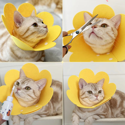 Soft Dog Recovery Cone