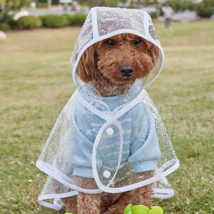 Transparent Hooded Dog Raincoat