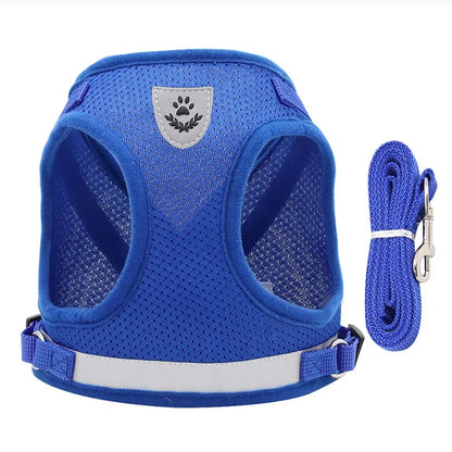 Reflective Escape-Proof Cat Harness Set
