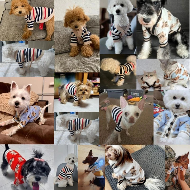Striped Dog Cardigan Sweater