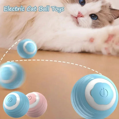 Automatic Rolling Cat Ball