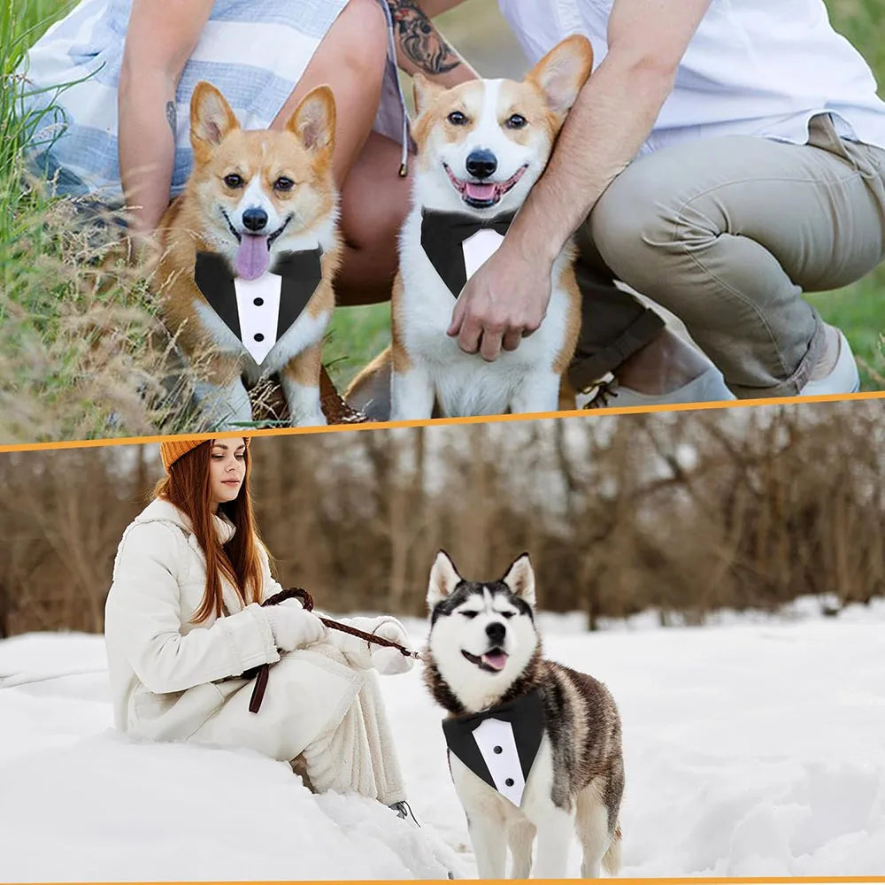 Dog Tuxedo with Bow Tie (Formal Suit)