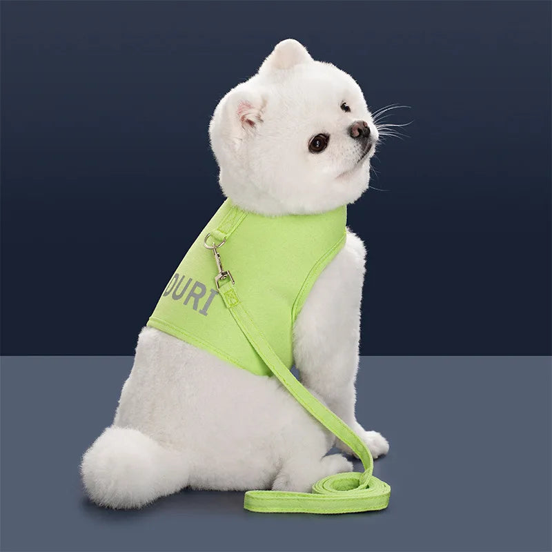 Escape-Proof Pet Vest Harness & Leash