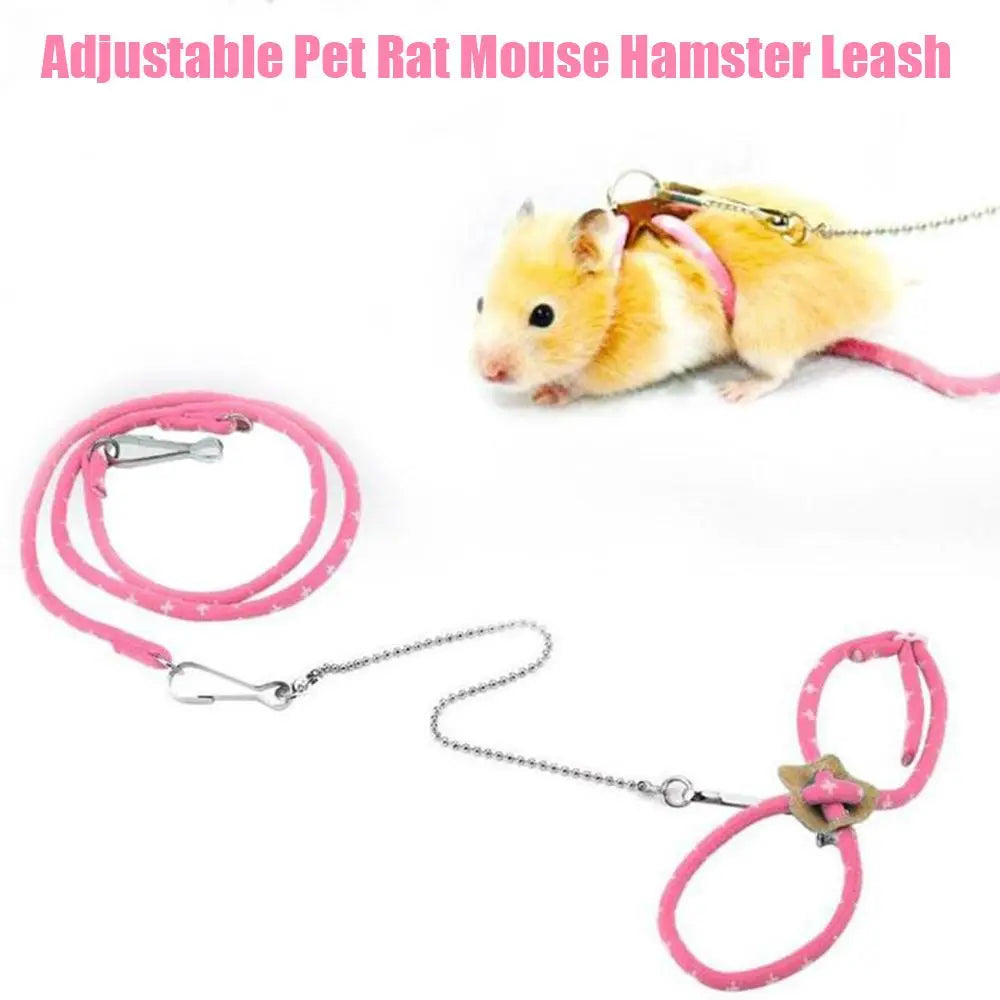 Small Pet Harness & Leash