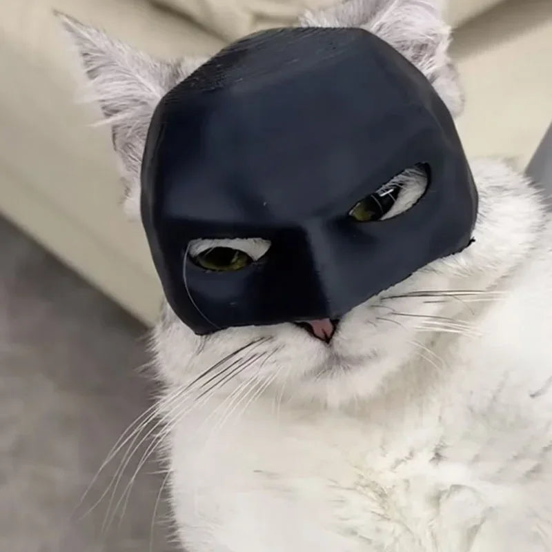 Bat Hero Pet Mask