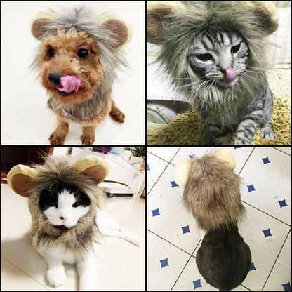 Lion Mane Costume Hat for Cats & Dogs