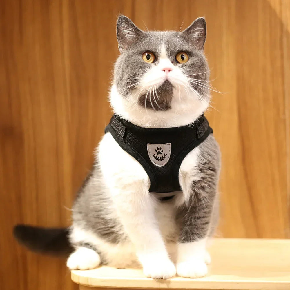 Reflective Escape-Proof Cat Harness Set