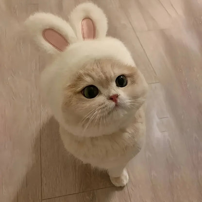 Knit Bunny Ears Hat for Cats & Dogs