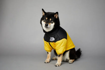 Puppy Down Jacket