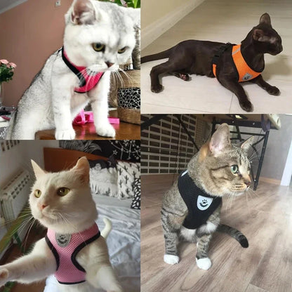 Mesh Cat & Dog Vest Harness Set