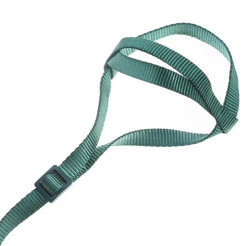 Parrot Flight Harness & Leash
