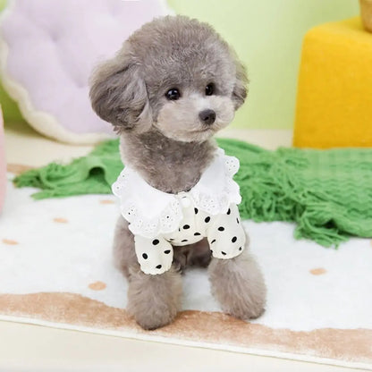 Polka Dot Summer Dog Dress