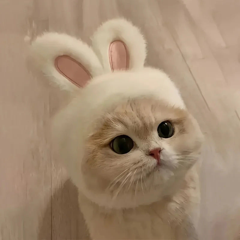 Knit Bunny Ears Hat for Cats & Dogs