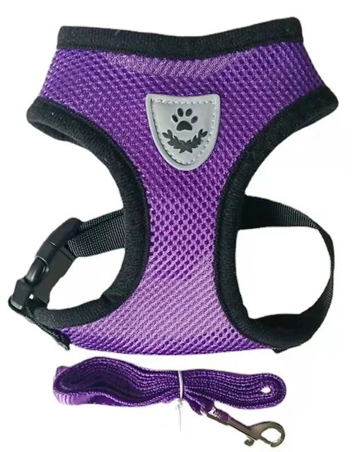 Reflective Mesh Pet Harness & Leash