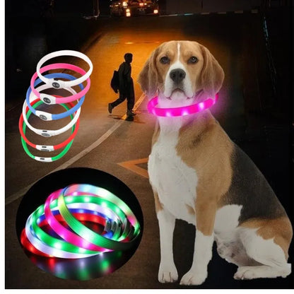 LED Light-Up Dog Collar