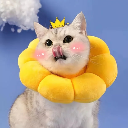 Flower Cat Recovery Collar