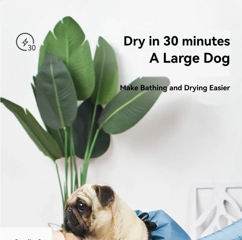 Foldable Pet Drying Box