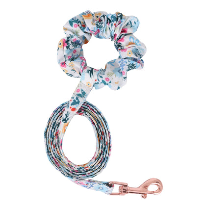 Small Dog Harness & Leash Set