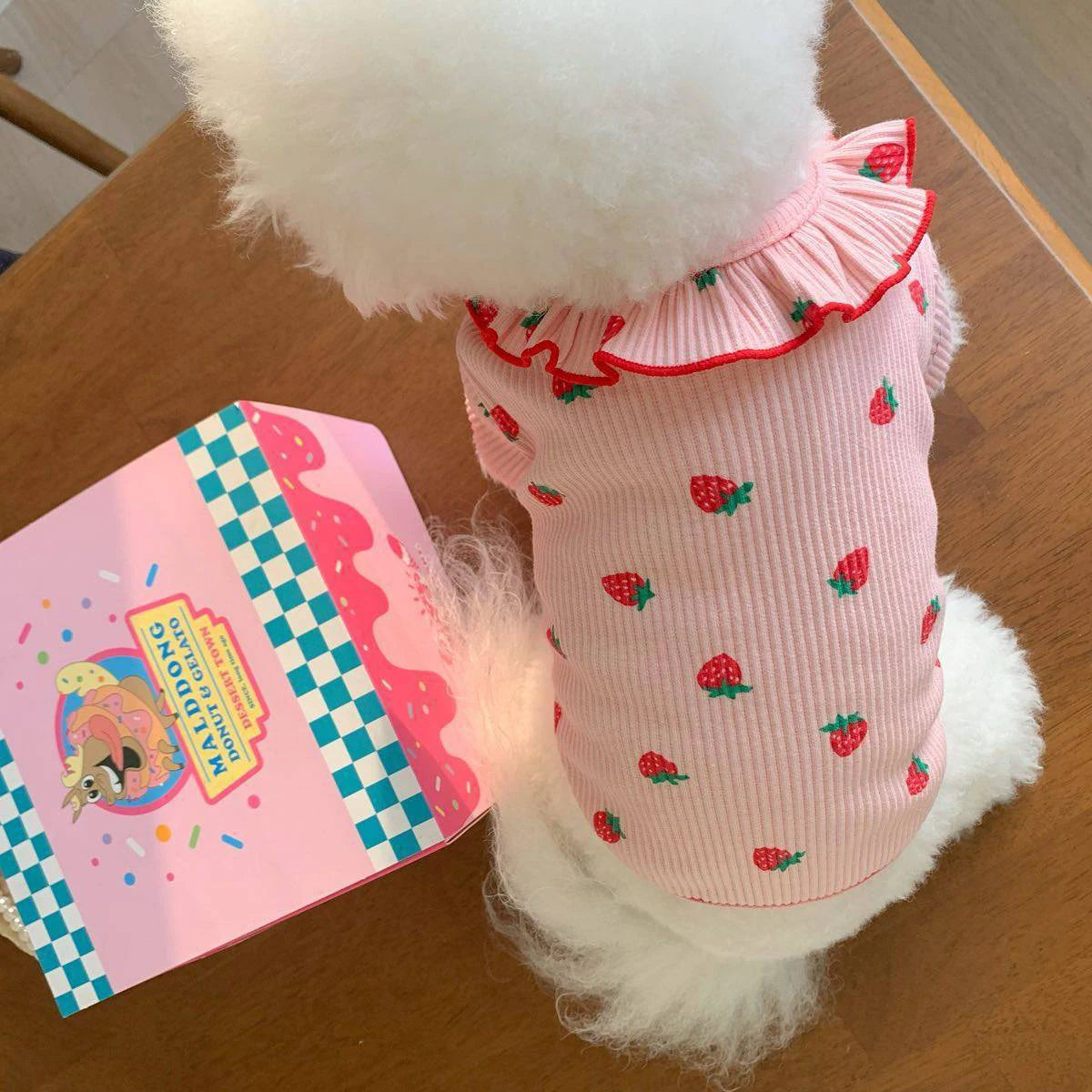 Strawberry Summer Dog Vest