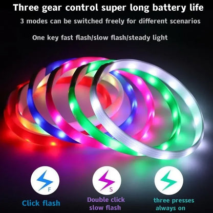 LED Light-Up Dog Collar