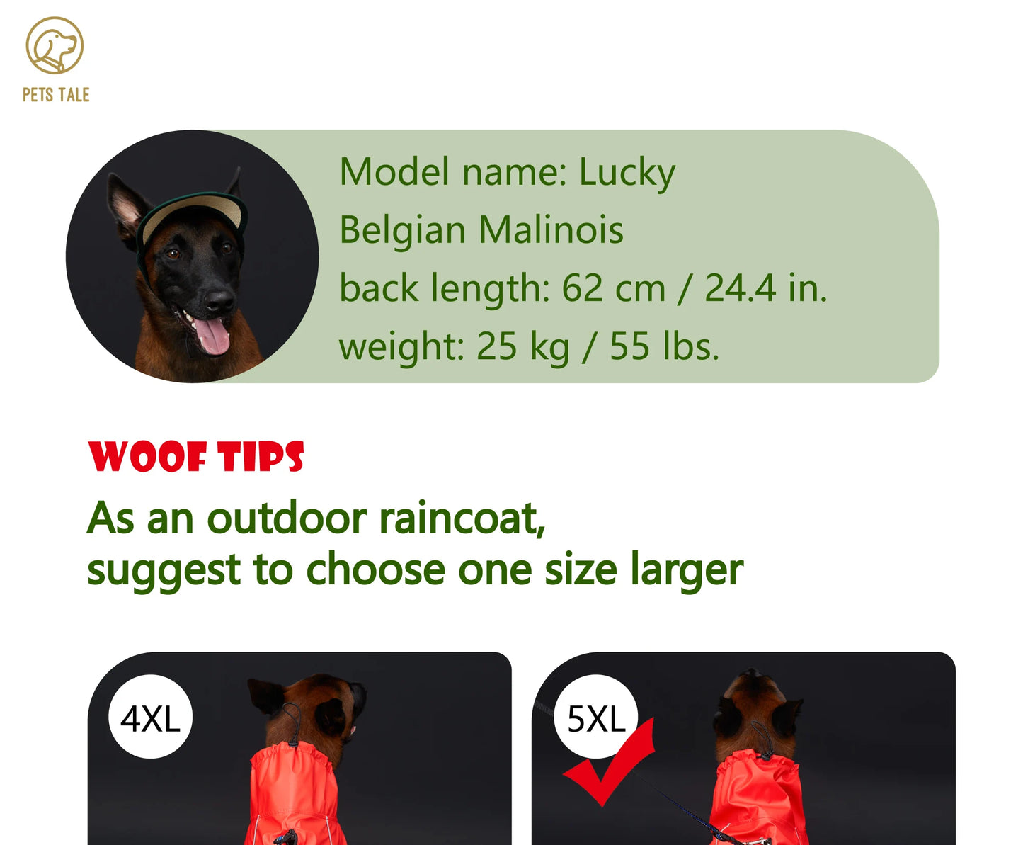 Hooded Reflective Dog Raincoat