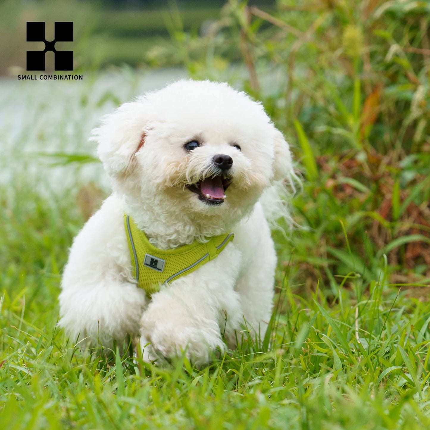 Reflective Dog Harness & Leash Set