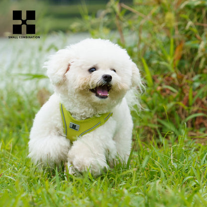 Reflective Dog Harness & Leash Set