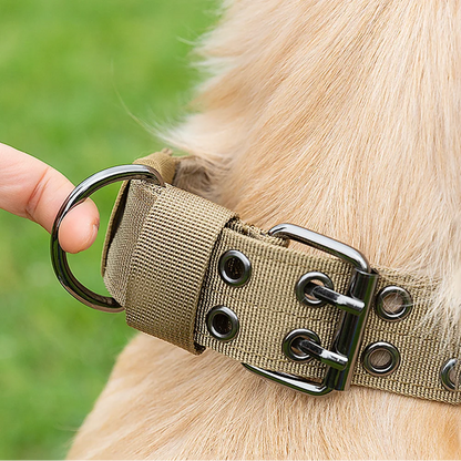 Military-Style Adjustable Dog Collar
