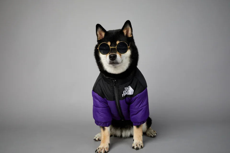 Puppy Down Jacket