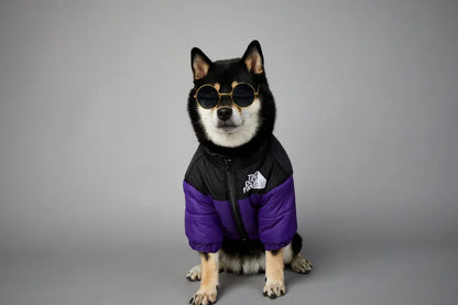 Puppy Down Jacket