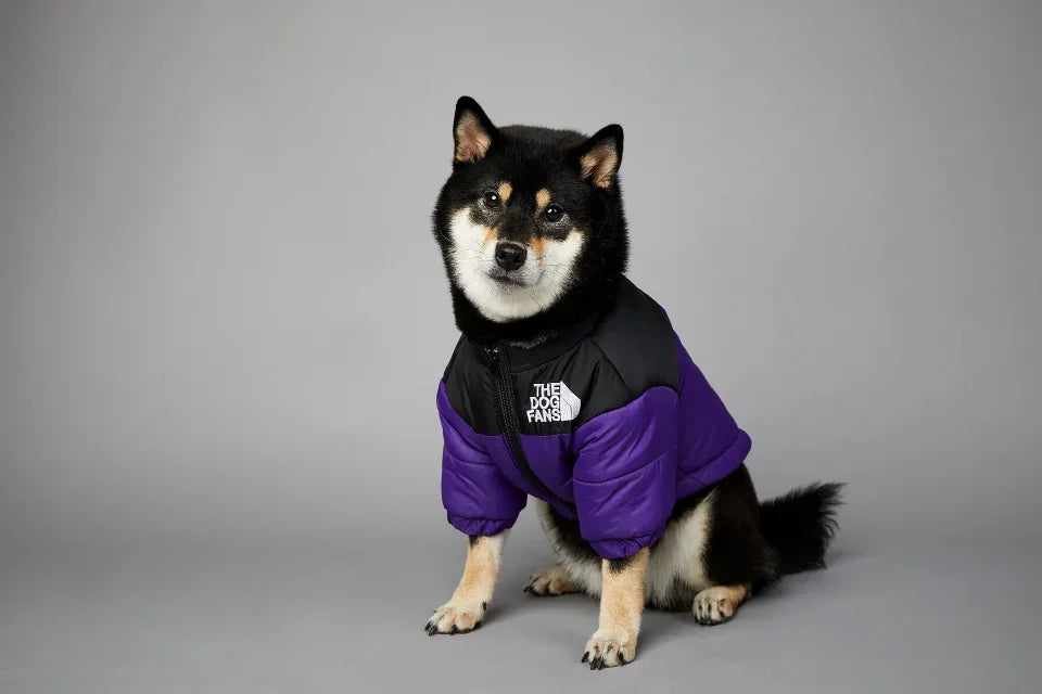 Puppy Down Jacket