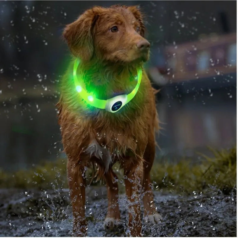 LED Light-Up Dog Collar
