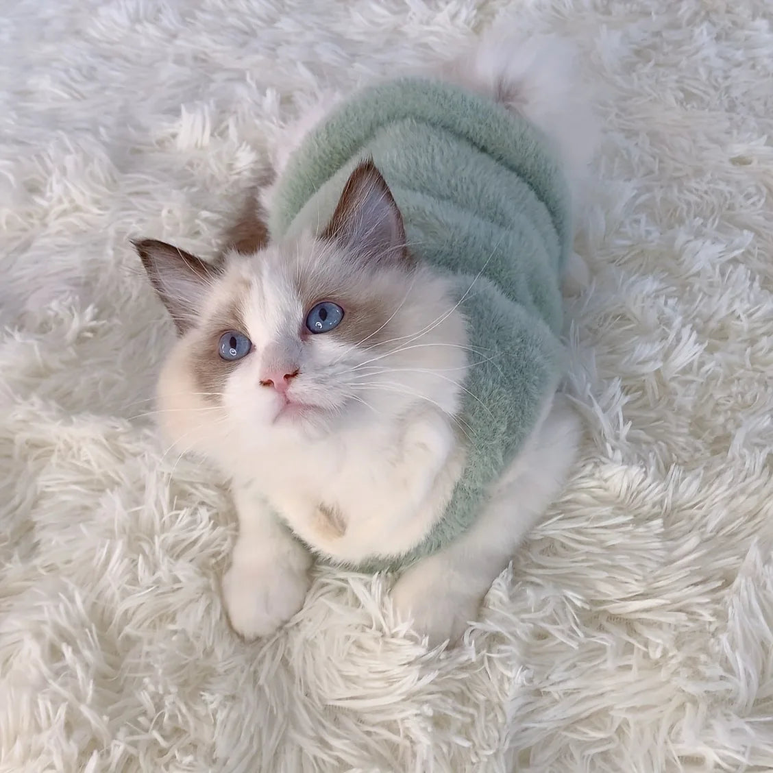 Cat & Dog Knit Sweater Vest