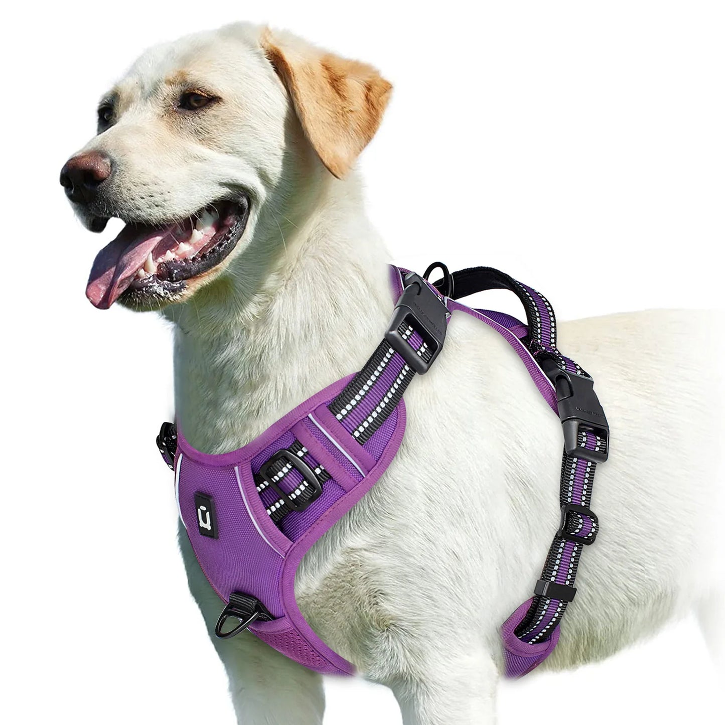 Padded No-Pull Dog Harness