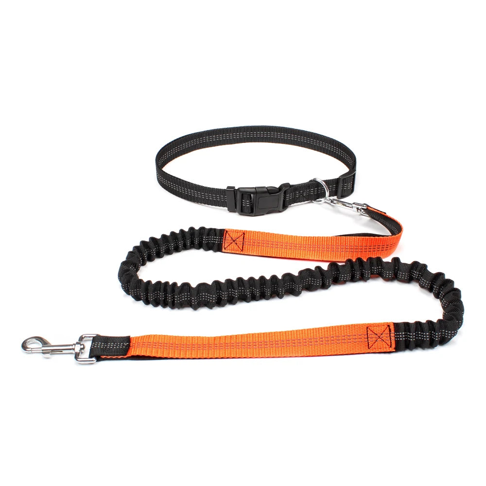 Hands-Free Dog Leash with Waist Belt