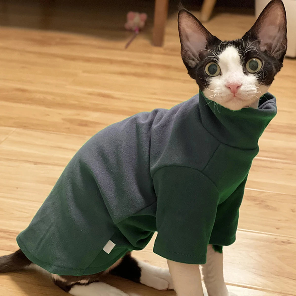 Soft Cotton Sphynx Cat Top