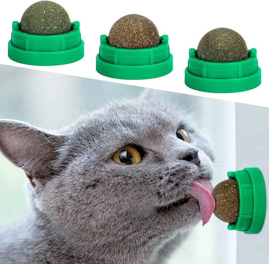 Lickable Catnip Ball Treats