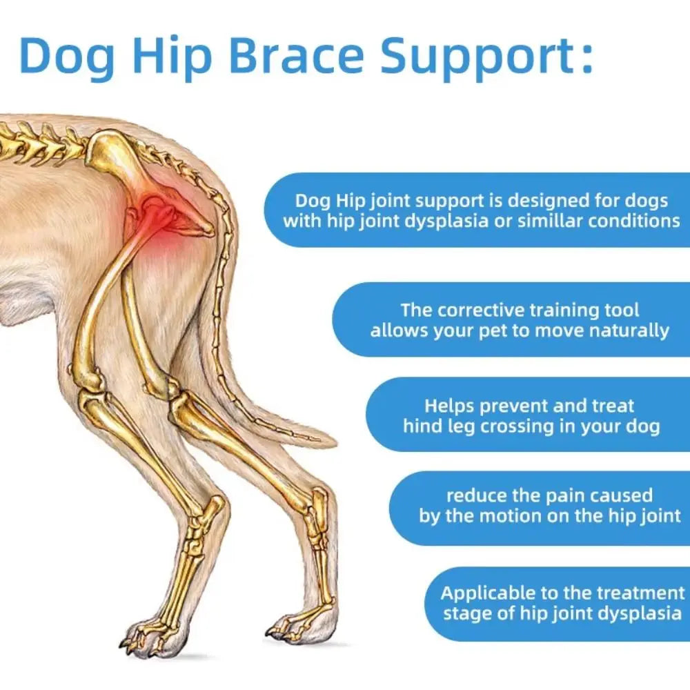 Dog Hip Brace & Hind Leg Support