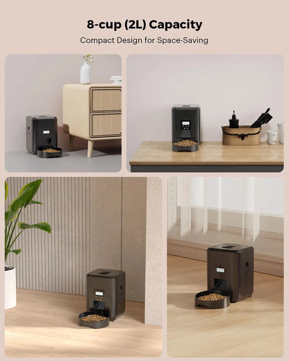 Automatic Timed Pet Feeder